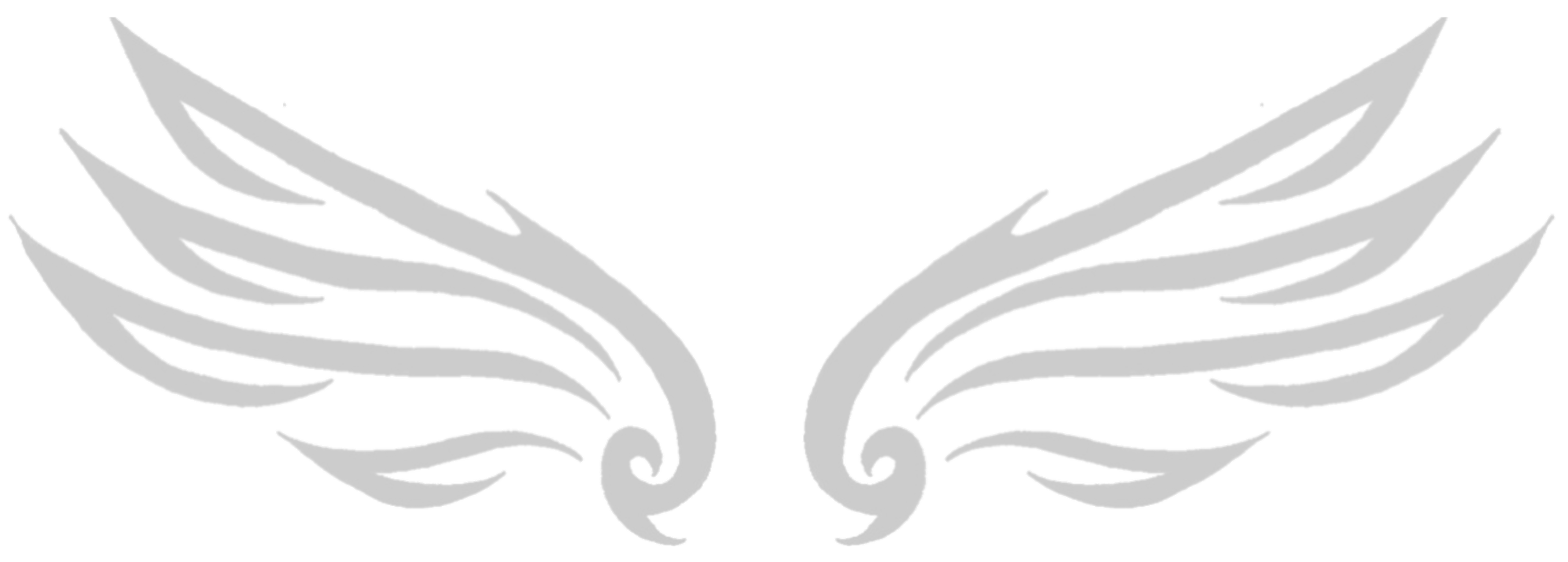Phoenix Foundation logo
